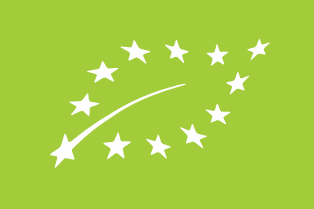 logo caecv